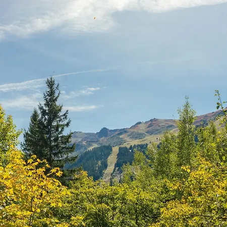 아파트 Grands Sorbiers #14 - 4 Guests - In - Out *